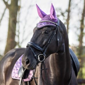 BROWBAND FAYEN SILVER FULL