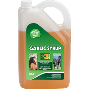 GARLIC SYRUP