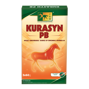 KURASYN PB JERINGA 3X60GR