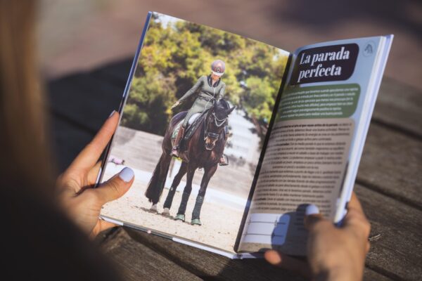 HELLO RIDERS - LA AVENTURA CONTINUA - Imagen 2