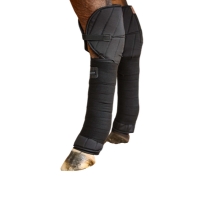 Protectores de Transporte
