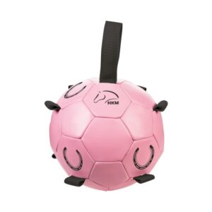 PELOTA A CABALLO FUN