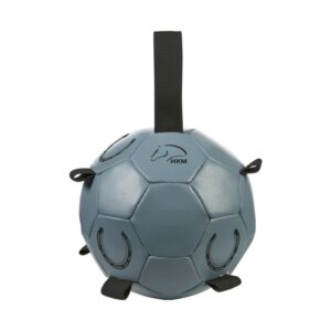 PELOTA A CABALLO FUN