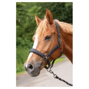 HEADCOLLAR DENICI CAVALLI SHADOW - BLACK-SAND