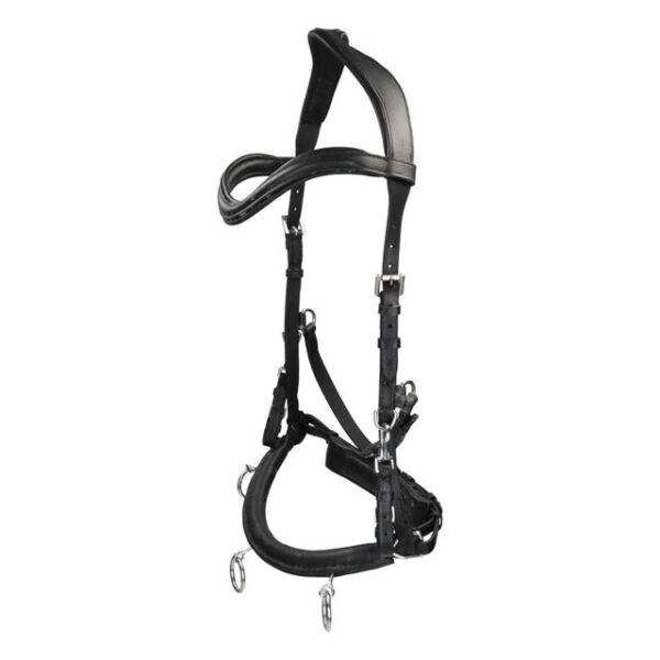 CAVESSON LEATHER BLACK - FULL