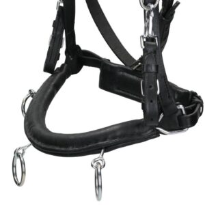 CAVESSON LEATHER BLACK - FULL