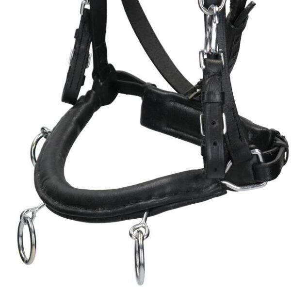 CAVESSON LEATHER BLACK - FULL - Imagen 2