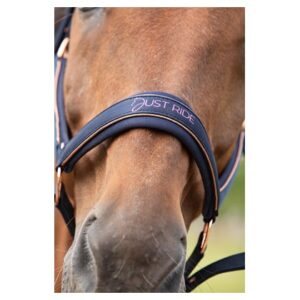 HEADCOLLAR AND LEAD JUST RIDE NIGHTSKY