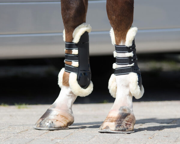 TENDON BOOTS ONTARIO - Imagen 3