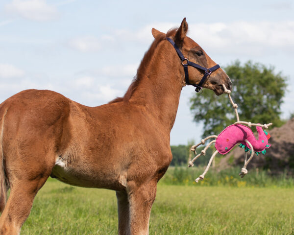 HORSE TOY UNICORN - Imagen 3