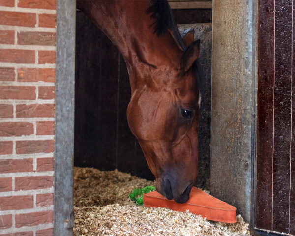 HORSE TOY XL CARROT - Imagen 3