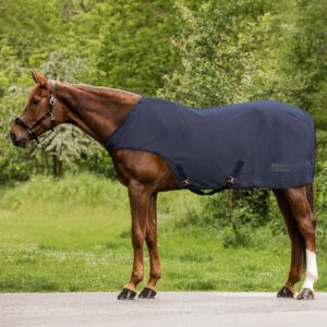 FLY WALTER RUG COMFORT