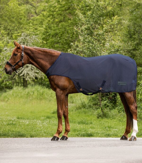 FLY WALTER RUG COMFORT