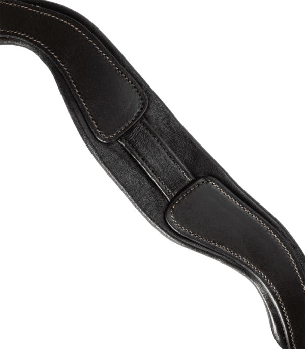 BRIDLE X-LINE GOLDHEART PULLBACK COB - Imagen 3
