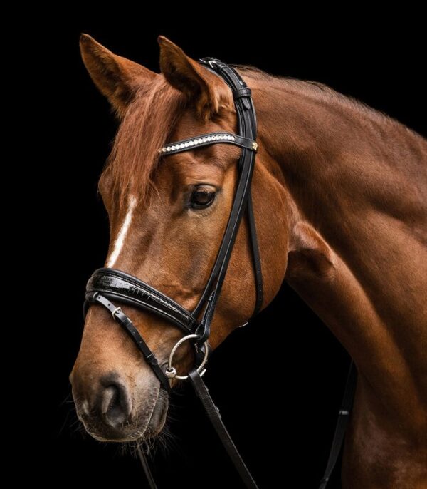BRIDLE S-LINE MAGIC PULLBACK FULL - Imagen 4