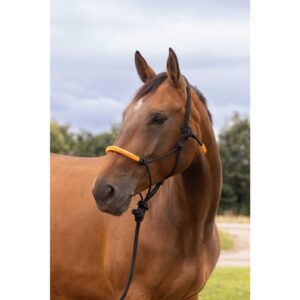 CABESTRO ETOLÓGICO NORTON + LÍNEA DE CUERDA