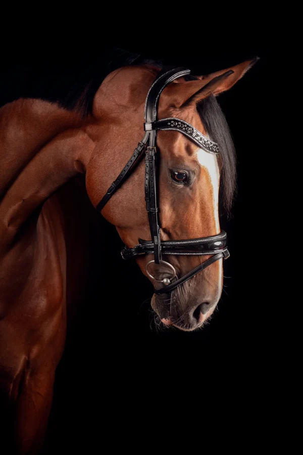 JOHNNY SILVER BRIDLE TRENS