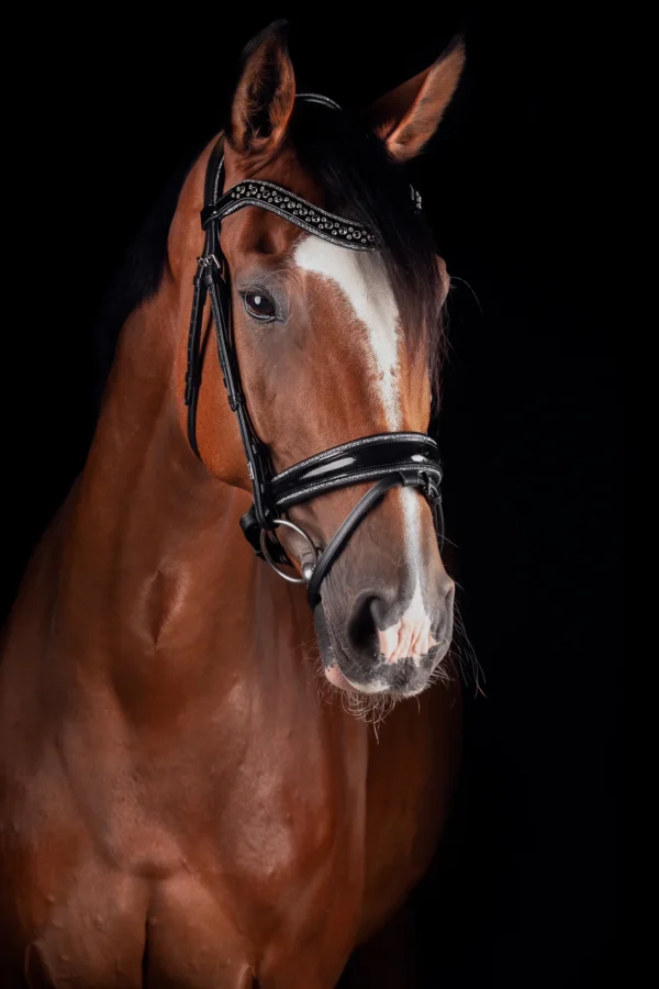 JOHNNY SILVER BRIDLE TRENS - Imagen 4