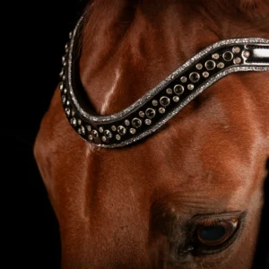 JOHNNY SILVER BRIDLE TRENS