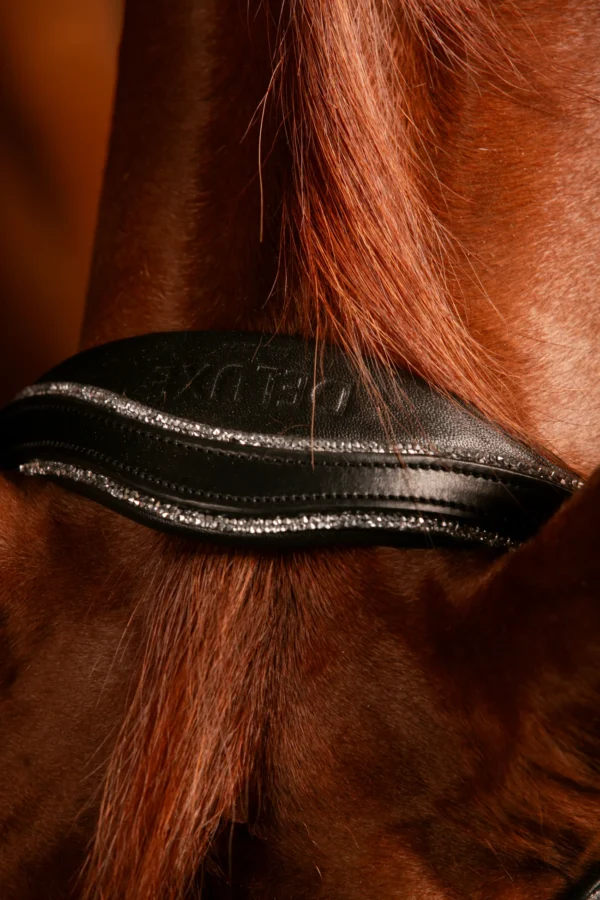 JOHNNY SILVER BRIDLE TRENS - Imagen 3