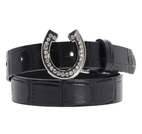 BELT LIZE