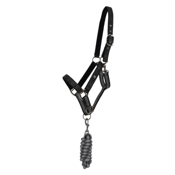 HEAD COLLAR SET WITH TURNOUT COLLECTION - Imagen 2