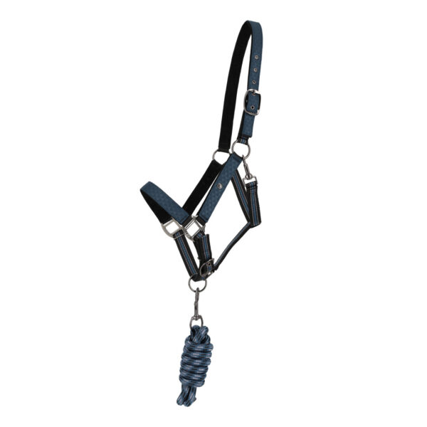HEAD COLLAR SET WITH TURNOUT COLLECTION - Imagen 3