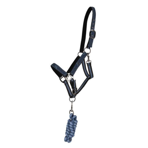 HEAD COLLAR SET WITH TURNOUT COLLECTION - Imagen 4