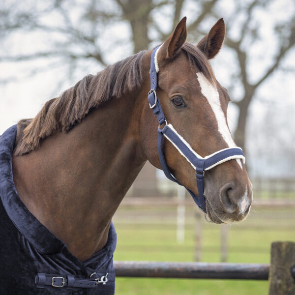 HEAD COLLAR SET SENSISOFT - Imagen 3