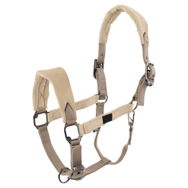 BR HALTER JESSY TEDDY - Imagen 2