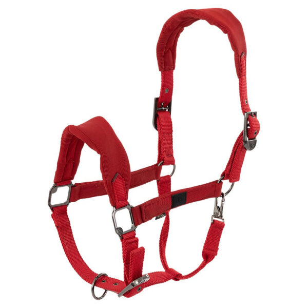 BR HALTER JESSY TEDDY - Imagen 3