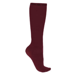 SHOW SOCKS (3 PACK) MIX COLOURS