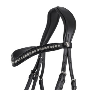 BRIDLE SKYE