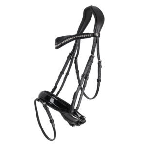 BRIDLE SKYE