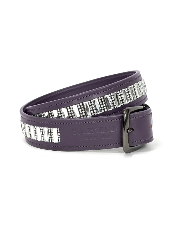 BELT CONTEST