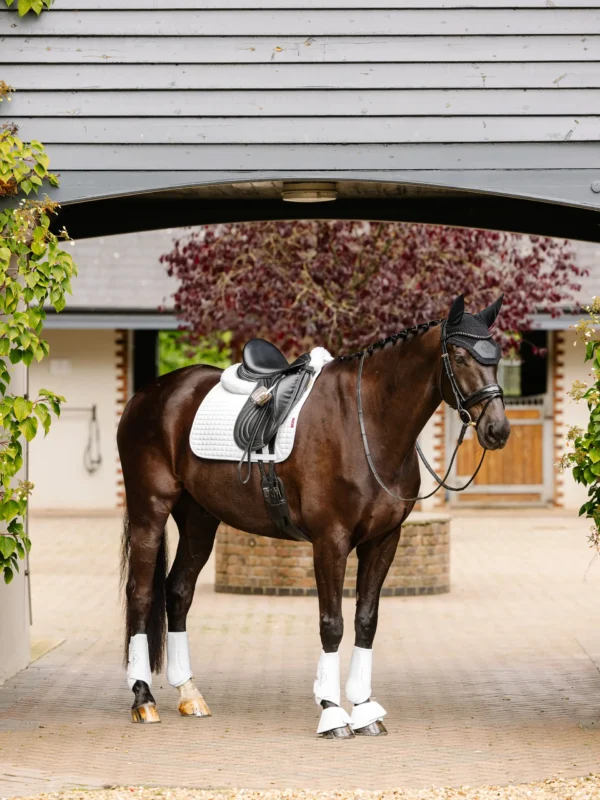 SUEDE DRESSAGE SQUARE WHITE - Imagen 2
