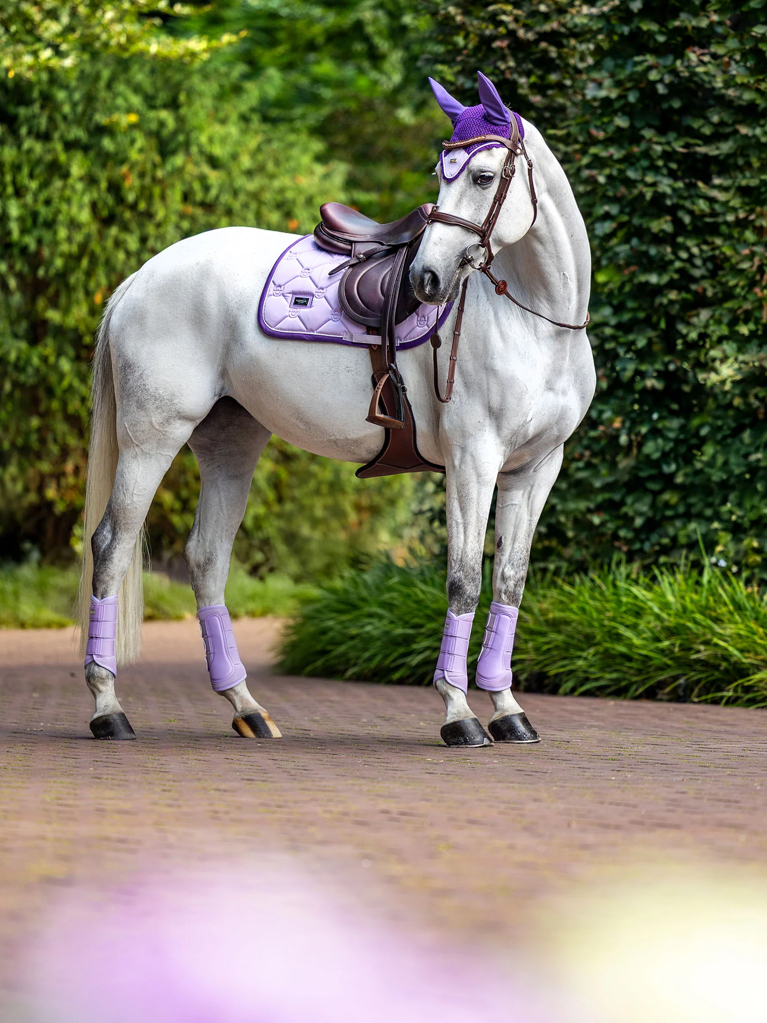 JUMP SADDLE PAD LAVENDER PEARL FULL - Imagen 2