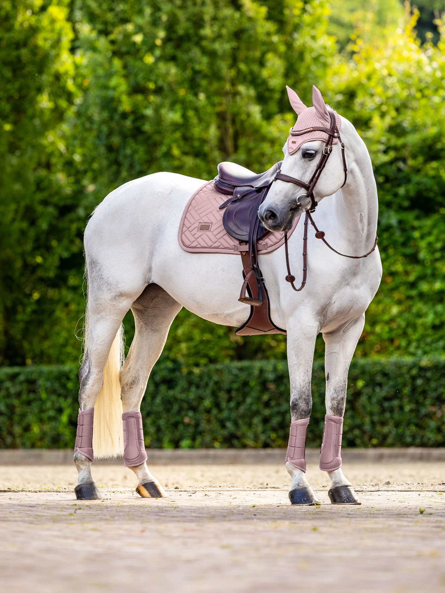 JUMP SADDLE PAD MODERN MIDSUMMER BLUSH FULL - Imagen 5