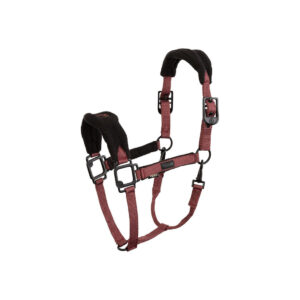BR EEVOLV HALTER LAVINA GROOMING