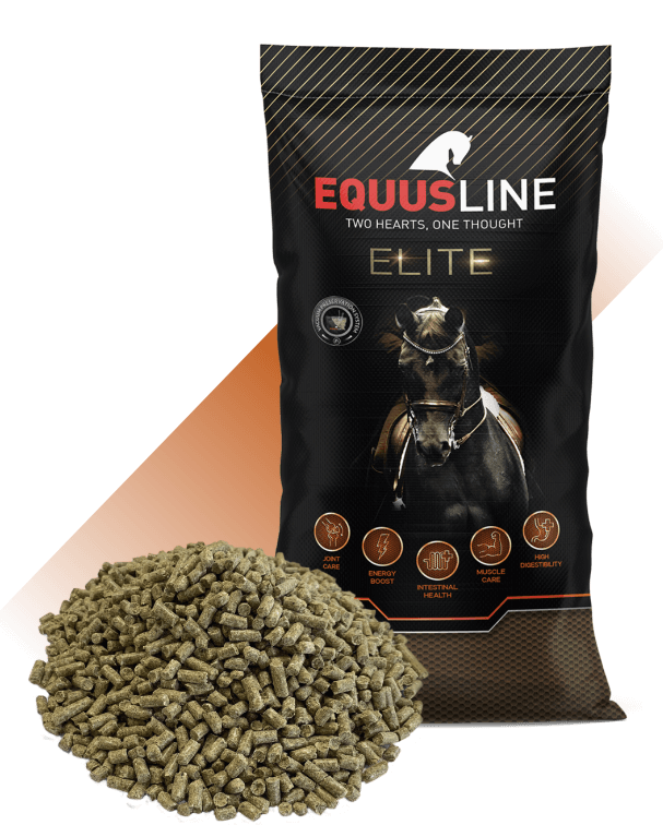 EQUUS LINE BALANCER GS 20KG